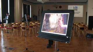 Dani studentskog savjetovališta, izložba Tee Balog Dani studentskog savjetovališta, izložba Tee Balog