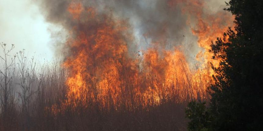 Požar na Plovaniji 11. kolovoza 2013. Foto: Željko Mršić/PIXSELL Požar na Plovaniji 11. kolovoza 2013. Foto: Željko Mršić/PIXSELL