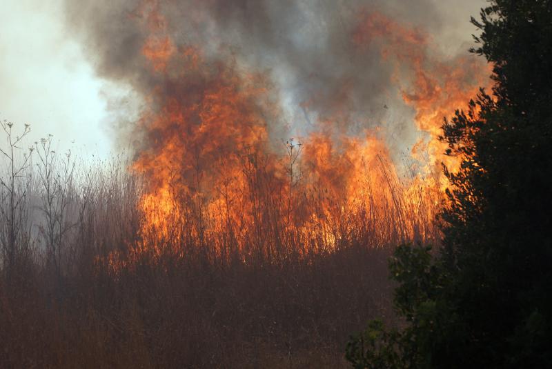 Požar na Plovaniji 11. kolovoza 2013. Foto: Željko Mršić/PIXSELL Požar na Plovaniji 11. kolovoza 2013. Foto: Željko Mršić/PIXSELL