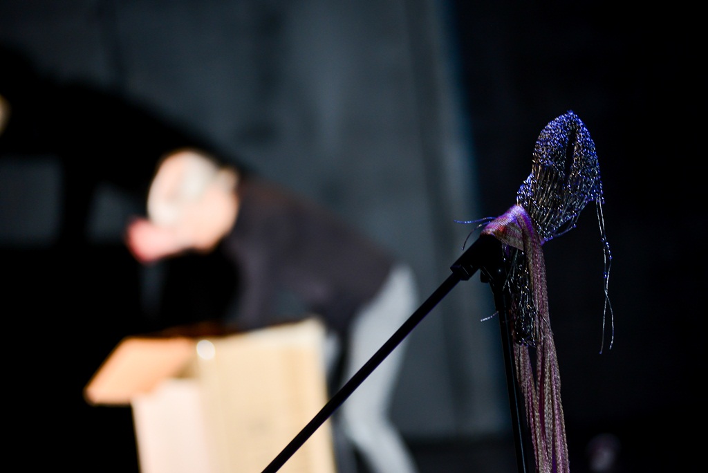 “Ana i Ona” naziv je predstave čijom je premijerom sinoć u zadarskom Kazalištu lutaka započela umjetnička revija pod nazivom “Nosi se Teatro Verrdi”.