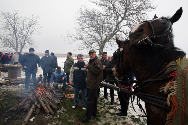 Vukovar, 220110.
U vinogradima Vukovara proslavlja se blagdan Sv. Vinka kada se tradicionalno blagoslove vinogradi. Na salasu Goldschmidt po 11 puta se odrzava Vinkovo na Vucedolu, gdje se moglo uzivati u vinu i gastronomskim specijalitetima. Na fotografi Vukovar, 220110.
U vinogradima Vukovara proslavlja se blagdan Sv. Vinka kada se tradicionalno blagoslove vinogradi. Na salasu Goldschmidt po 11 puta se odrzava Vinkovo na Vucedolu, gdje se moglo uzivati u vinu i gastronomskim specijalitetima. Na fotografi