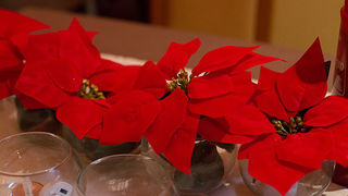 Ronilački klub Roko, izborna skupština, foto: L. Banić Ronilački klub Roko, izborna skupština, foto: L. Banić