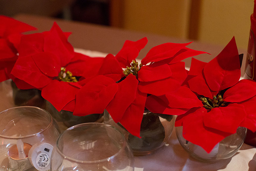 Ronilački klub Roko, izborna skupština, foto: L. Banić Ronilački klub Roko, izborna skupština, foto: L. Banić