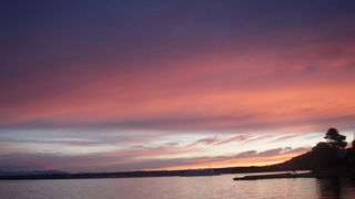 OLYMPUS DIGITAL CAMERA OLYMPUS DIGITAL CAMERA