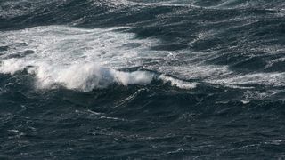 Image 1177873 (auto)