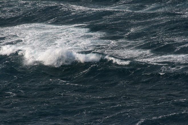 Image 1177873 (auto)