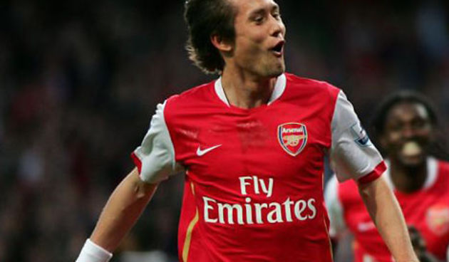 Rosicky /foto: http://img.dailymail.co.uk