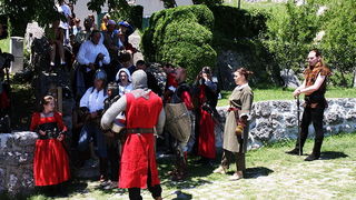 Zvonimirovi dani, Knin 28. i 29. lipnja 2008.