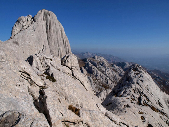 OLYMPUS DIGITAL CAMERA OLYMPUS DIGITAL CAMERA