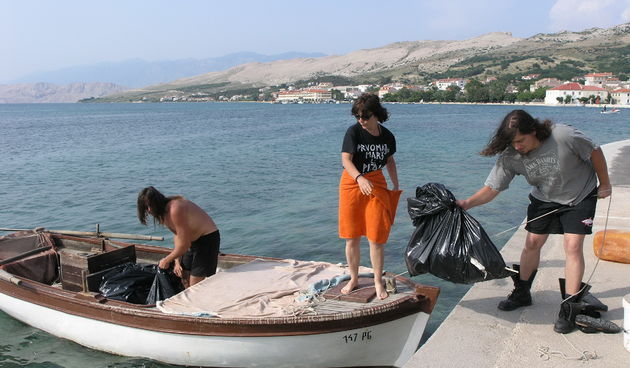 Image 1203419 (auto)