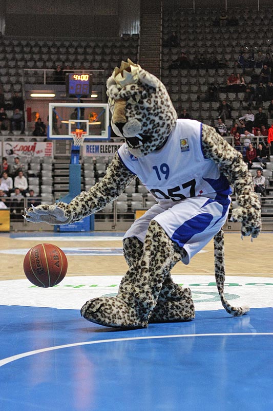 KK Zadar – KK Radnički (foto: Marin Gospić)