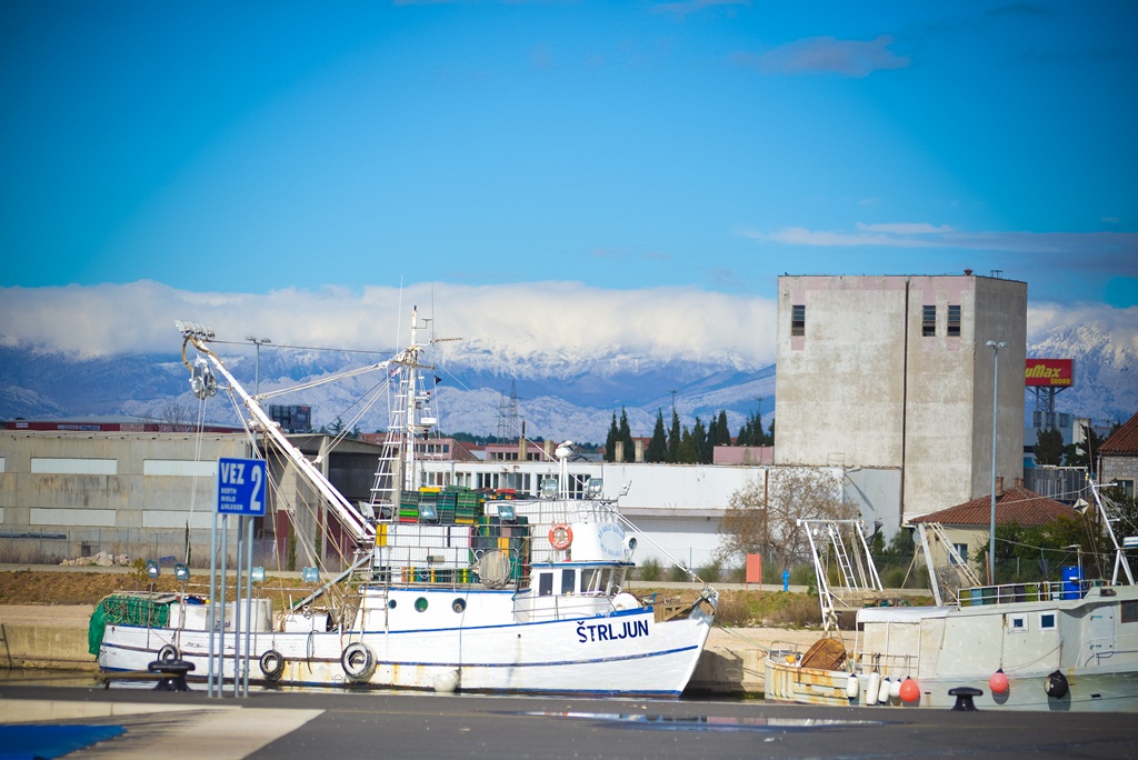 Đir po Sutomišćici Đir po Sutomišćici