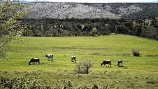 4. planinarski pohod “Hajdemo do Vrane” u organizaciji PD Belveder