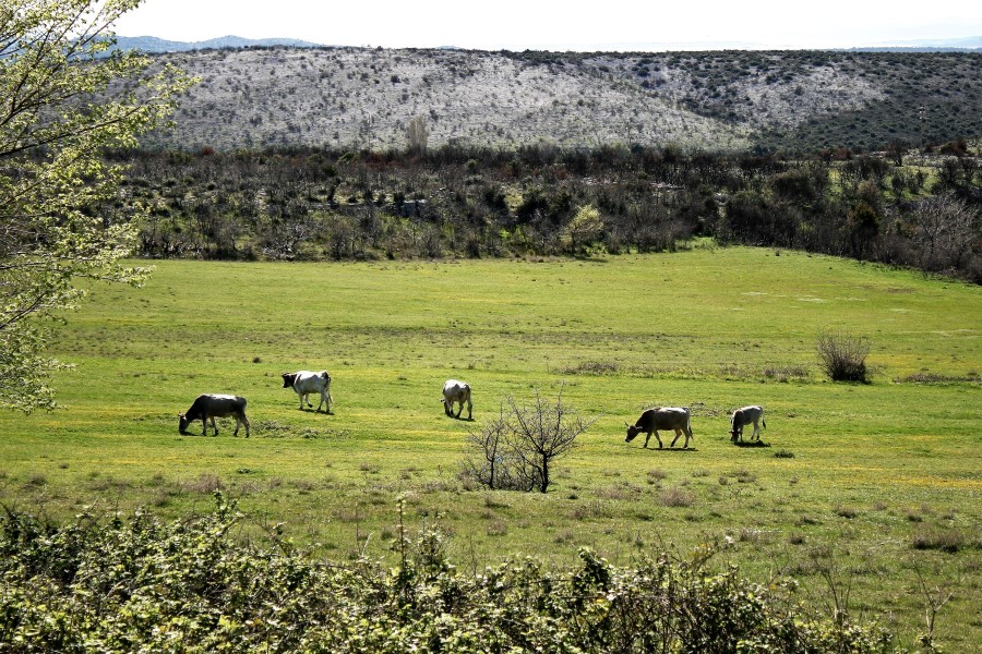 4. planinarski pohod “Hajdemo do Vrane” u organizaciji PD Belveder