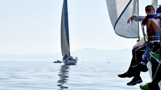 Sva lica “Zadarske koke” Sva lica “Zadarske koke”