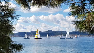 Zadarska Koka 2016. 22. listopada 2016. Foto: Mladen Malik Zadarska Koka 2016. 22. listopada 2016. Foto: Mladen Malik