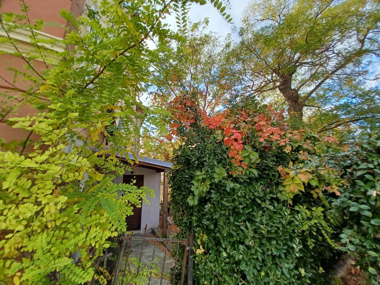 Zadarska šetnica s najlipšim pogledom u jesen je idealna za predah i “punjenje baterija” Zadarska šetnica s najlipšim pogledom u jesen je idealna za predah i “punjenje baterija”