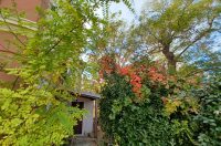 Zadarska šetnica s najlipšim pogledom u jesen je idealna za predah i “punjenje baterija” Zadarska šetnica s najlipšim pogledom u jesen je idealna za predah i “punjenje baterija”