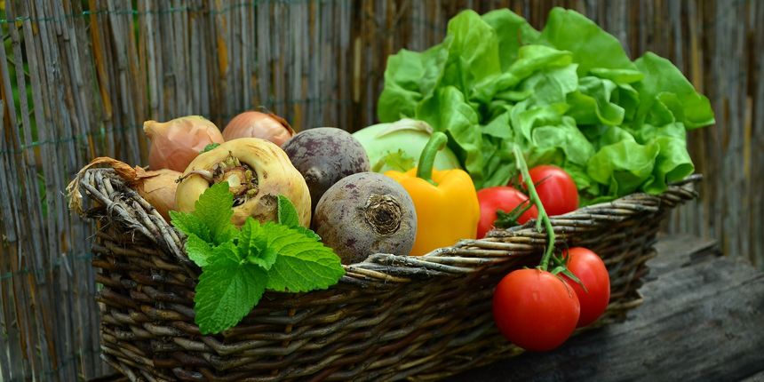 Zdrave namirnice za vrijeme ljeta mogu može podići razinu hidratacije i pružiti različite hranjive tvari. Zdrave namirnice za vrijeme ljeta mogu može podići razinu hidratacije i pružiti različite hranjive tvari.