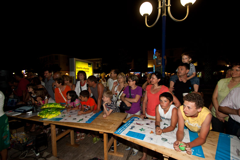 Biograd na Moru: 3. Morska alga, Foto: Franjo Jurić