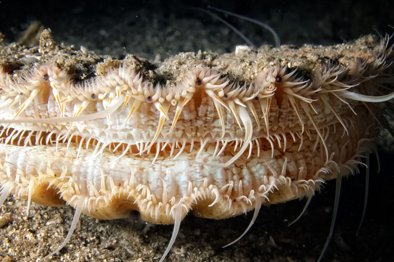 Foto: Ante Uglešić Foto: Ante Uglešić