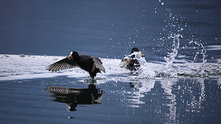 Bled i Bledsko jezero Bled i Bledsko jezero