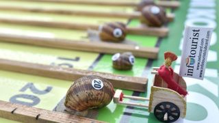 U sklopu Benkovackog kulturnog ljeta Grad Benkovac i Turisticka zajednica Grada Benkovca vec cetvrtu godinu za redom organiziraju manifestaciju Puzevim korakom. Radi se o gastro manifestaciji pripreme i degustacije puzeva. Posjetitelji su imali prilike d U sklopu Benkovackog kulturnog ljeta Grad Benkovac i Turisticka zajednica Grada Benkovca vec cetvrtu godinu za redom organiziraju manifestaciju Puzevim korakom. Radi se o gastro manifestaciji pripreme i degustacije puzeva. Posjetitelji su imali prilike d