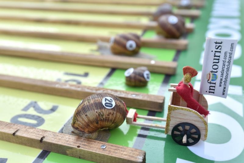 U sklopu Benkovackog kulturnog ljeta Grad Benkovac i Turisticka zajednica Grada Benkovca vec cetvrtu godinu za redom organiziraju manifestaciju Puzevim korakom. Radi se o gastro manifestaciji pripreme i degustacije puzeva. Posjetitelji su imali prilike d U sklopu Benkovackog kulturnog ljeta Grad Benkovac i Turisticka zajednica Grada Benkovca vec cetvrtu godinu za redom organiziraju manifestaciju Puzevim korakom. Radi se o gastro manifestaciji pripreme i degustacije puzeva. Posjetitelji su imali prilike d