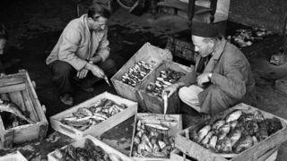 Ante Brkan – Na tržnici