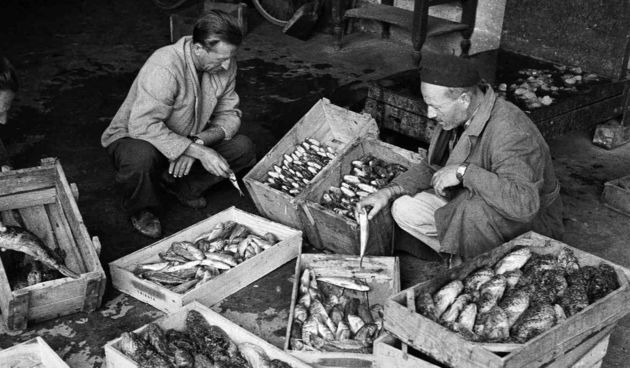 Ante Brkan – Na tržnici