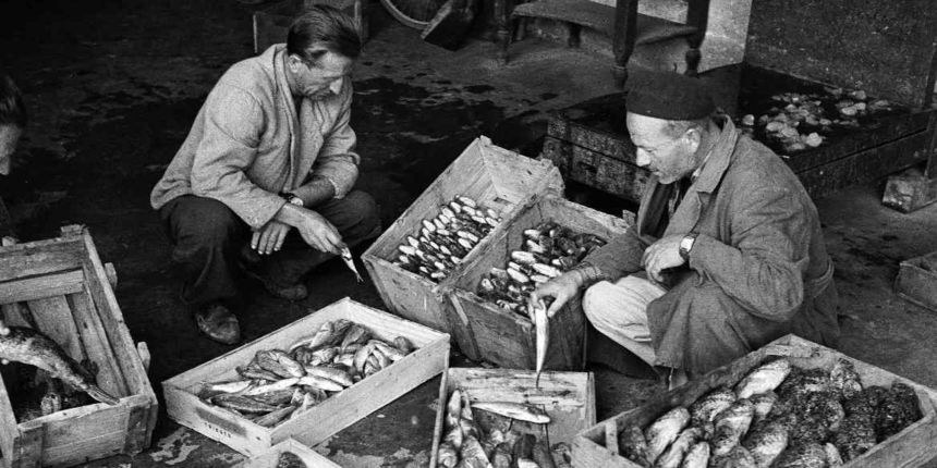 Ante Brkan – Na tržnici Ante Brkan – Na tržnici