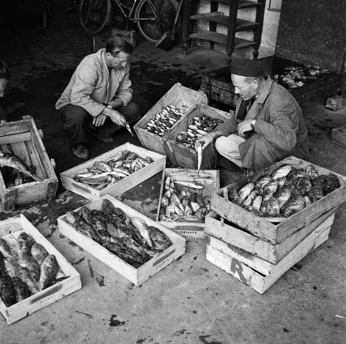 Ante Brkan – Na tržnici