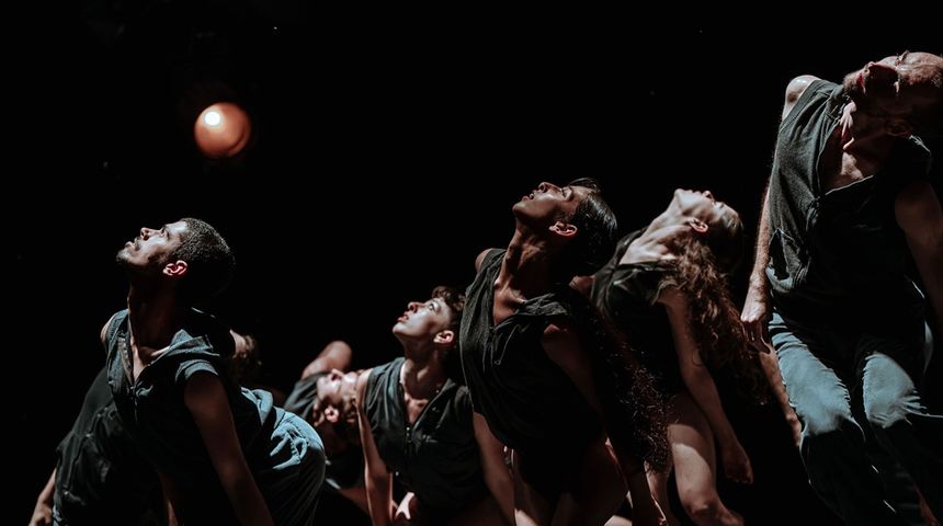 Plesna predstava Asylum Plesna predstava Asylum