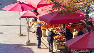 Image 380479 (auto) Image 380479 (auto)