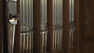 Nove orgulje u katedrali Svete Stosije u Zadru, Foto: Darko Dilber