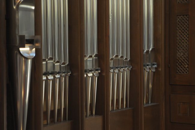 Nove orgulje u katedrali Svete Stosije u Zadru, Foto: Darko Dilber