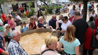 Velika prvosvibanjska fešta na Viru Velika prvosvibanjska fešta na Viru