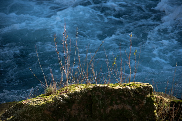 Đir do kraških ljepotica Krupe i Zrmanje, Foto: Vinko Pešić Đir do kraških ljepotica Krupe i Zrmanje, Foto: Vinko Pešić