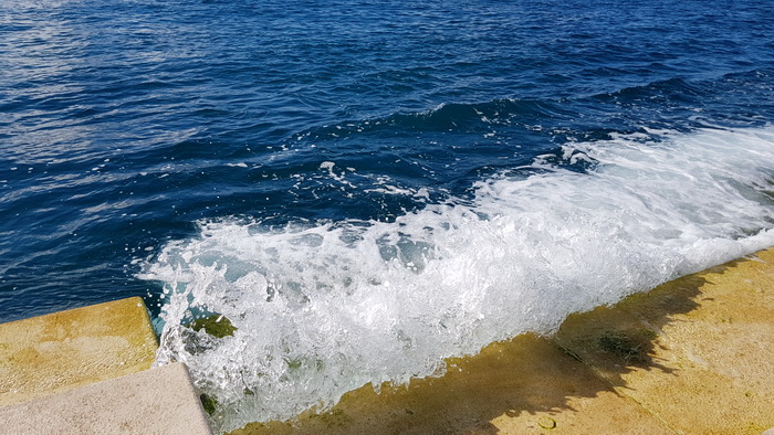 Zadarska Koka 2016. 22. listopada 2016. Foto: Mladen Malik Zadarska Koka 2016. 22. listopada 2016. Foto: Mladen Malik