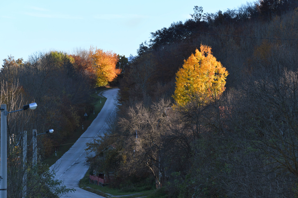 Boje jeseni na Plitvičkim jezerima