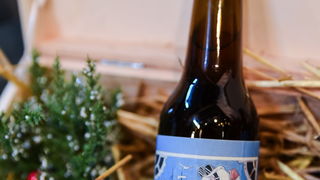 Advent u Zadru: Od kućice do kućice Advent u Zadru: Od kućice do kućice