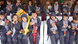 Virski Karnevalić 2017.