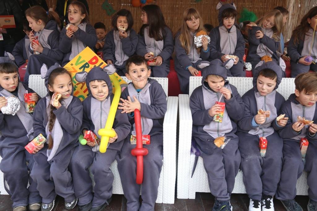 Virski Karnevalić 2017.