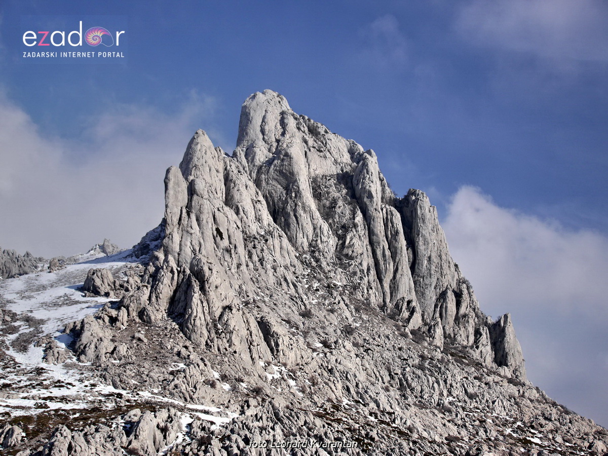 Tulove grede pod snježnim pokrivačem Tulove grede pod snježnim pokrivačem