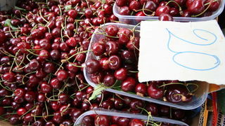 Image 1203803 (auto)