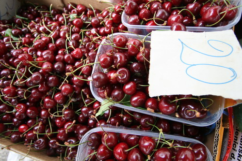 Image 1203803 (auto)