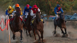 Polača: 14. Međunarodne konjičke utrke “Oluja 95”, Foto: Leo Banić Polača: 14. Međunarodne konjičke utrke “Oluja 95”, Foto: Leo Banić