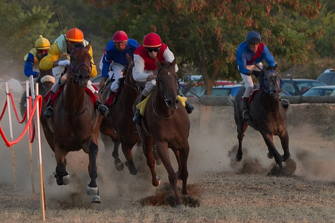 Polača: 14. Međunarodne konjičke utrke “Oluja 95”, Foto: Leo Banić Polača: 14. Međunarodne konjičke utrke “Oluja 95”, Foto: Leo Banić