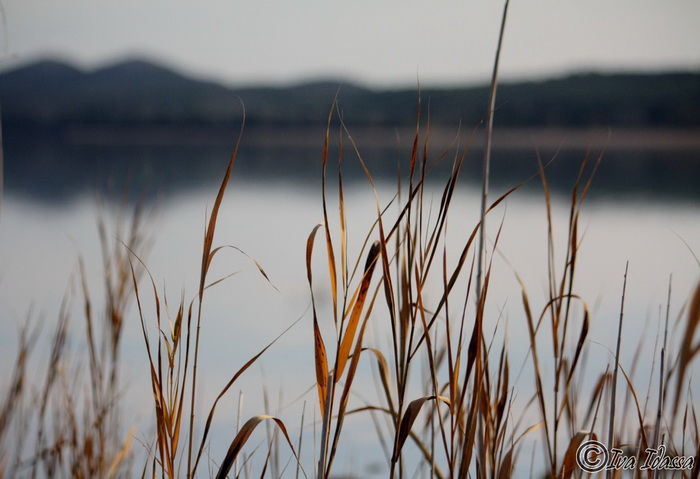 Đir uz Vransko jezero, Foto: Iva Perinić Đir uz Vransko jezero, Foto: Iva Perinić