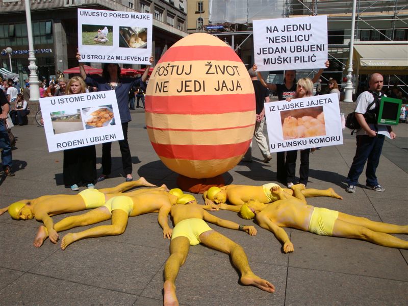 Akcija “Iz ljuske jajeta u plinsku komoru” Akcija “Iz ljuske jajeta u plinsku komoru”